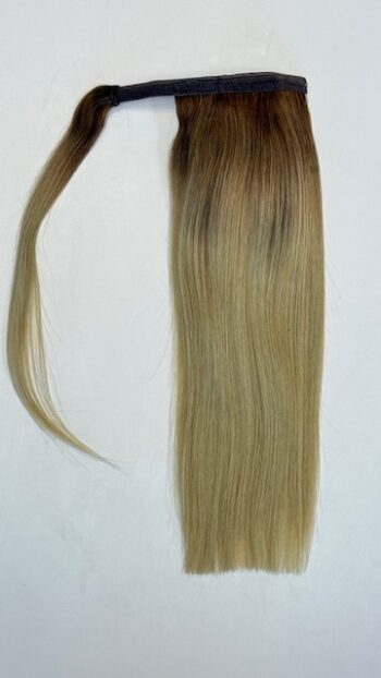 A ponytail is shown with long blonde hair.